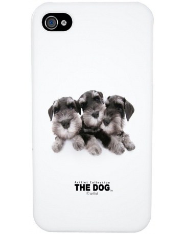 Single product image