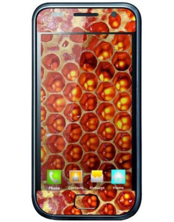 Single product image