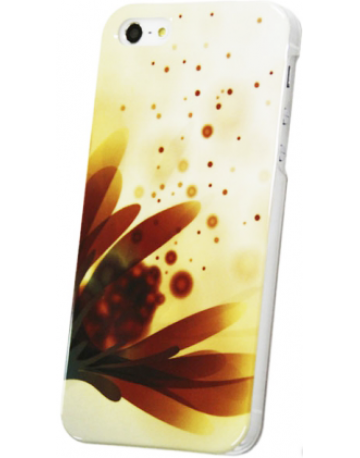 Single product image