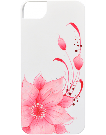 Single product image